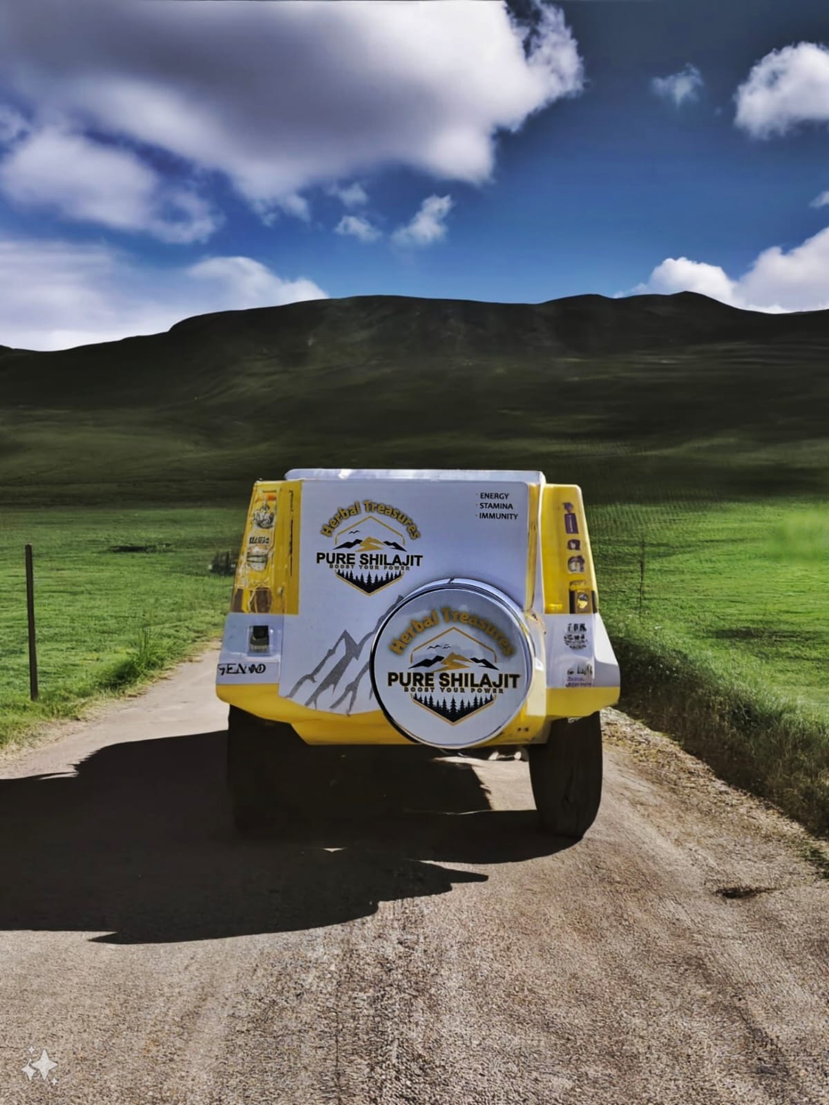 HERBAL TREASURES PURE SHILAJIT 20 GRAM